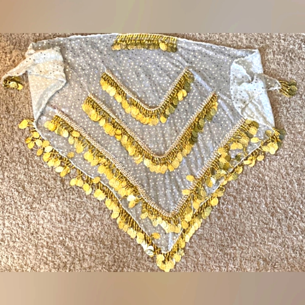 BELLY DANCING COIN BELT Heavy with coins, EUC skirt overlay